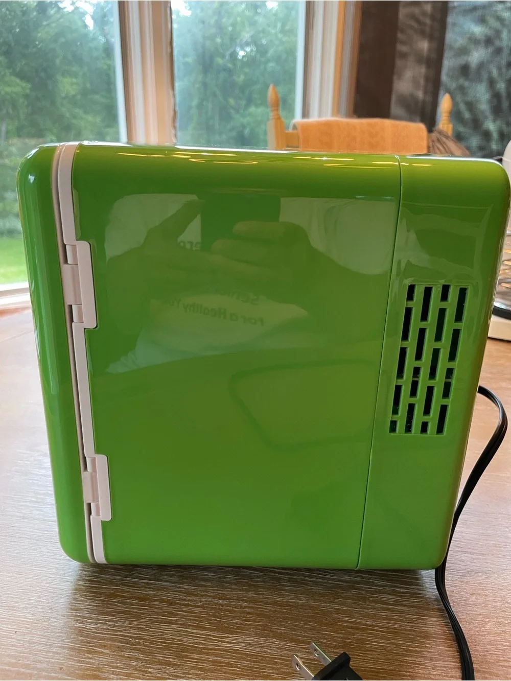 Wicked mini makeup fridge Glinda Green